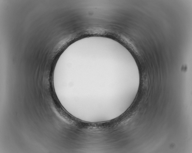 X0000091290538200709071034