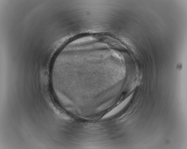 X0000091290540200709071034