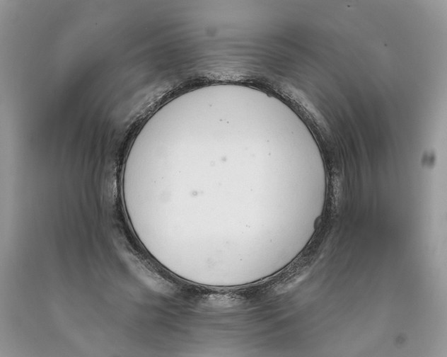 X0000091290541200709071034