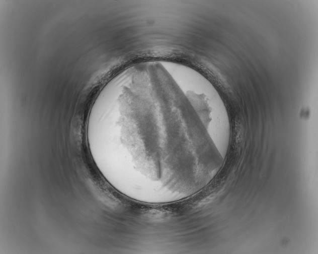 X0000091290542200709071034