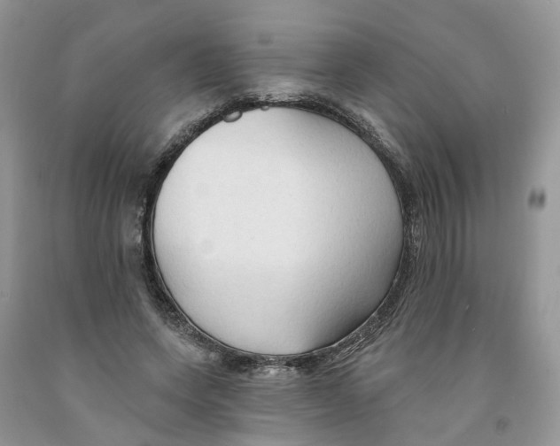 X0000091290543200709071034