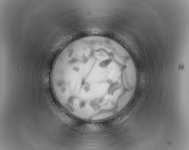 X0000091290545200709071034