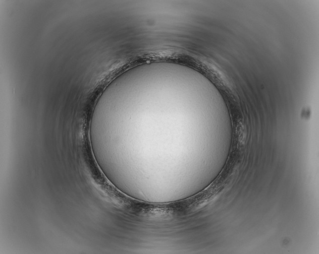 X0000091290546200709071034