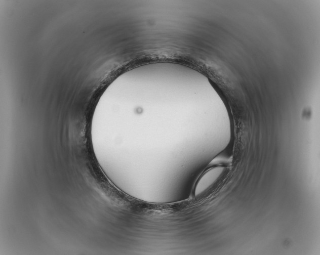 X0000091290548200709071034