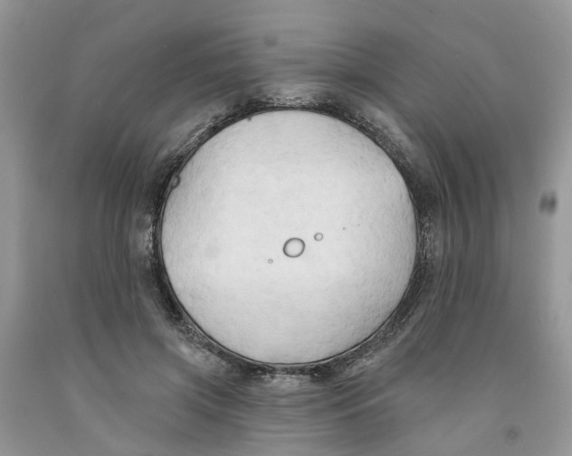 X0000091290549200709071034