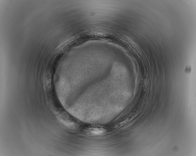 X0000091290552200709071034