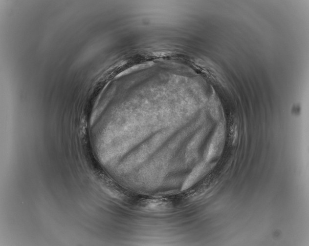 X0000091290555200709071034