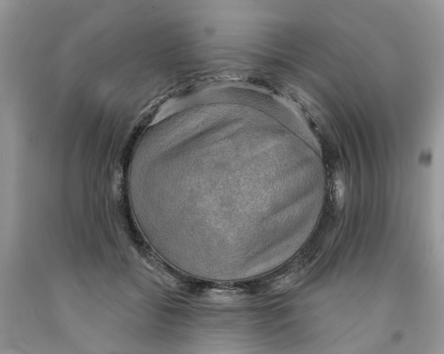 X0000091290556200709071034