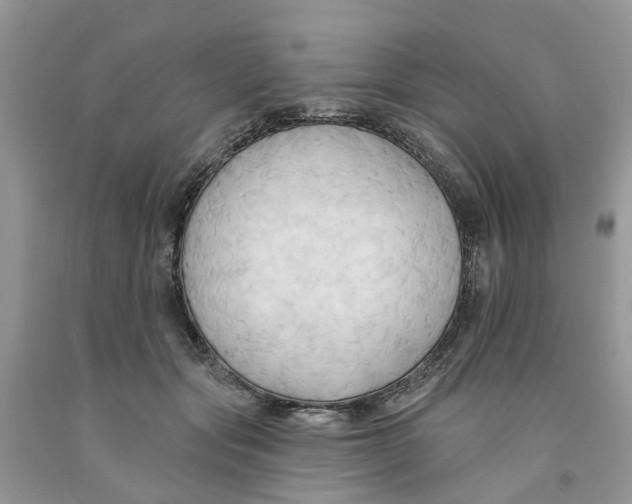 X0000091290557200709071034