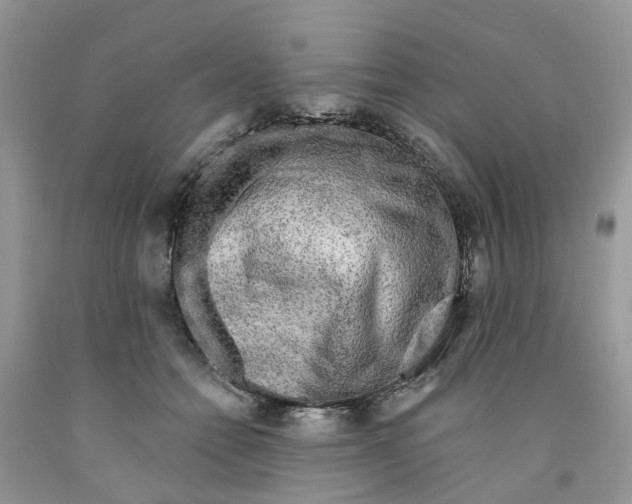 X0000091290558200709071034