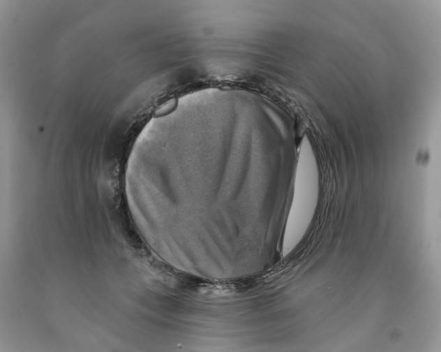 X0000091290559200709071034