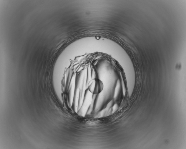 X0000091290560200709071034