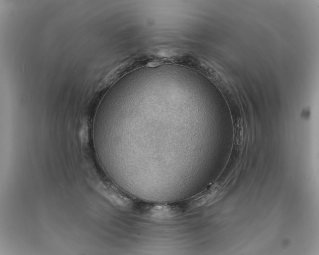 X0000091290562200709071034