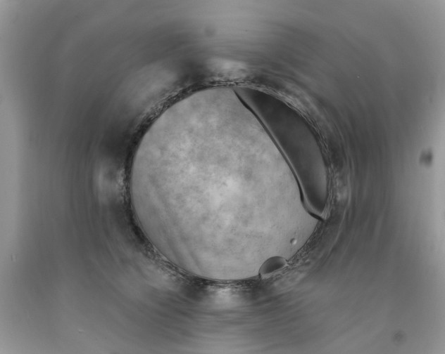 X0000091290564200709071034