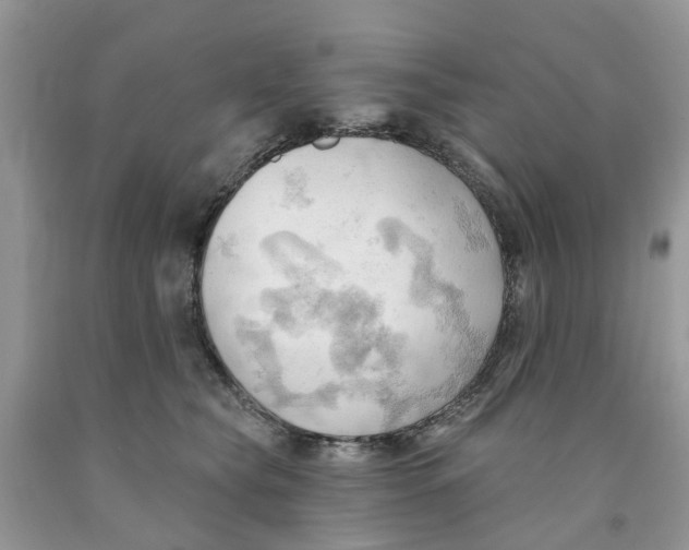 X0000091290565200709071034