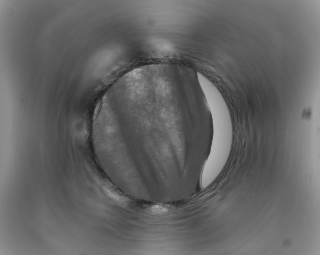 X0000091290566200709071034