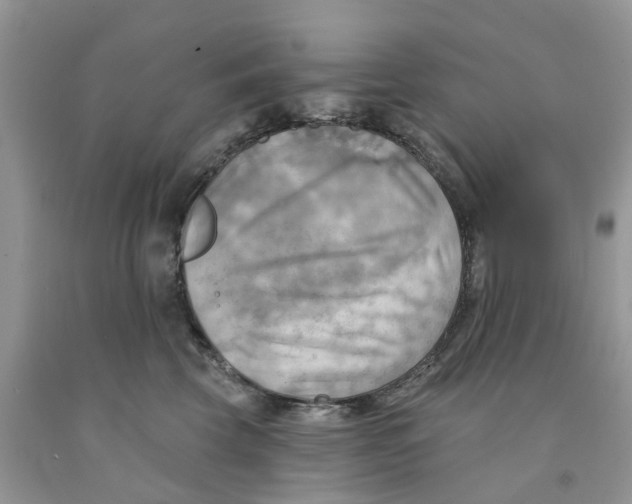 X0000091290569200709071034