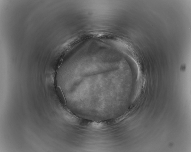 X0000091290570200709071034