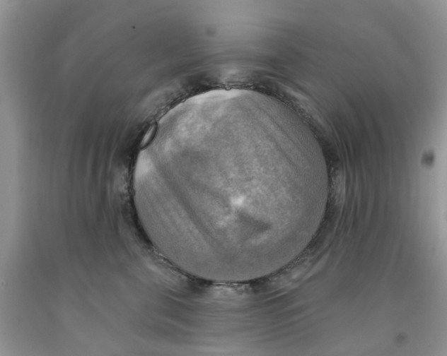 X0000091290571200709071034