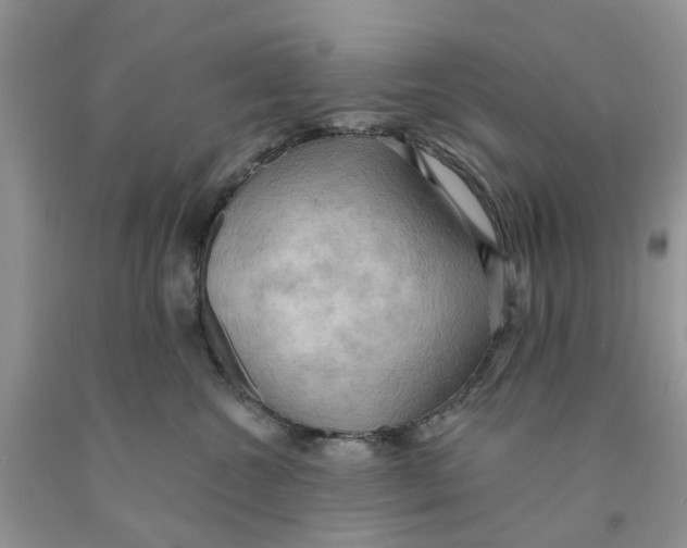 X0000091290572200709071034