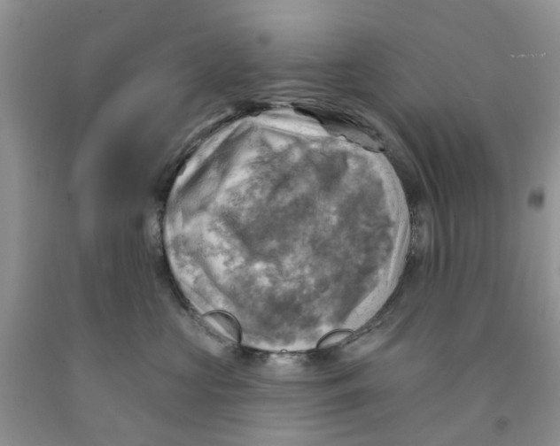 X0000091290573200709071034