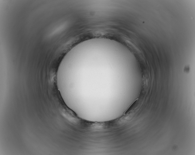 X0000091290574200709071034