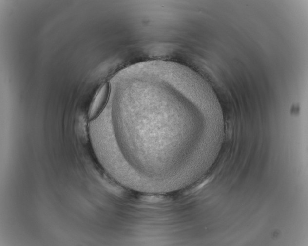 X0000091290575200709071034