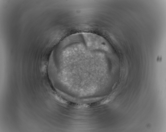 X0000091290576200709071034