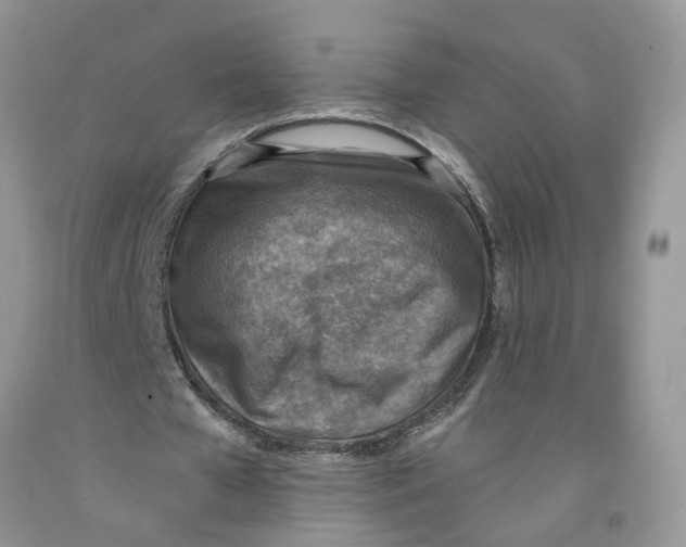 X0000091290577200709071034