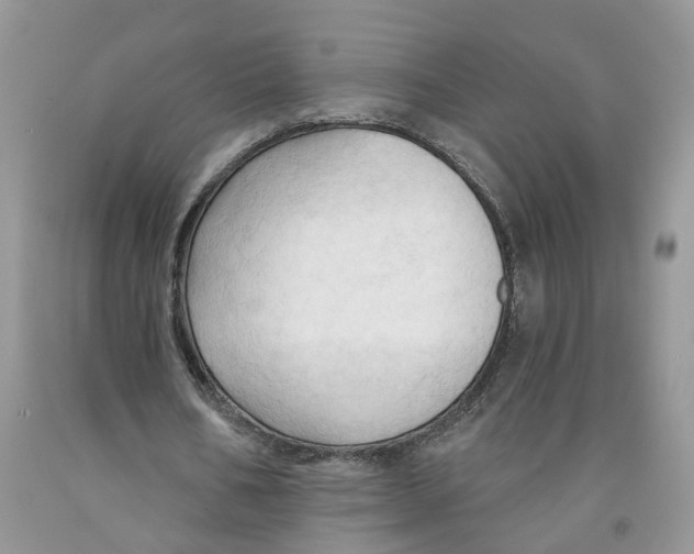 X0000091290578200709071034