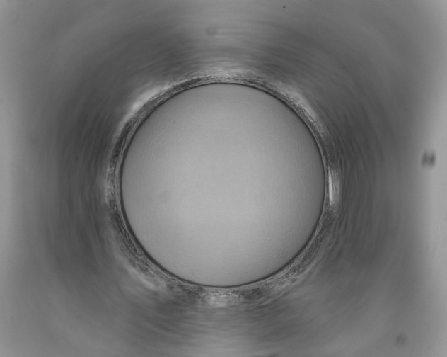 X0000091290579200709071034