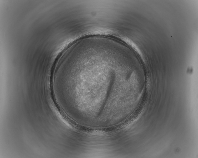 X0000091290581200709071034