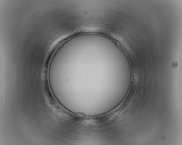 X0000091290583200709071034