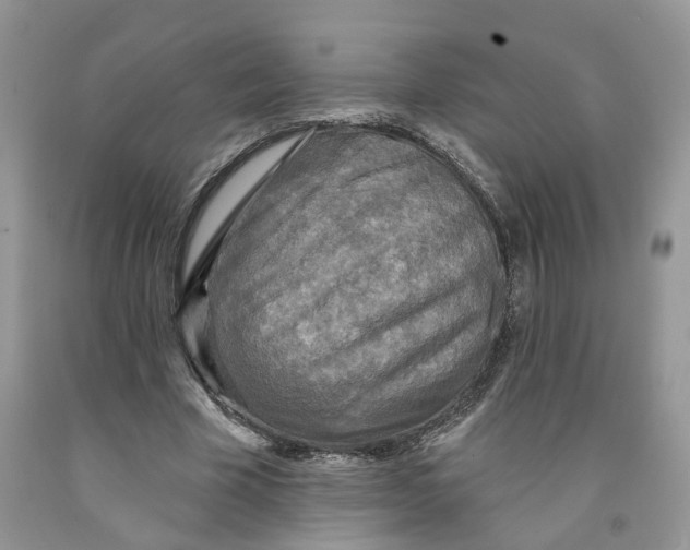 X0000091290585200709071034