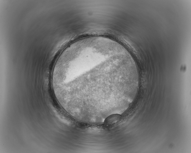 X0000091290586200709071034