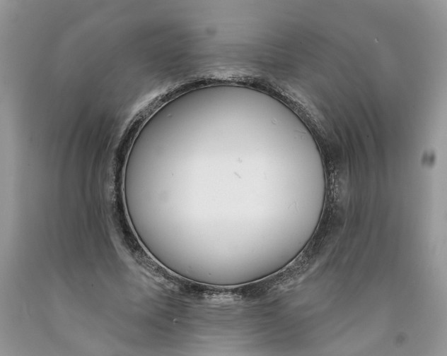 X0000091290587200709071034