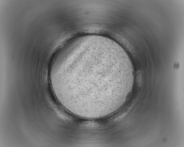 X0000091290589200709071034