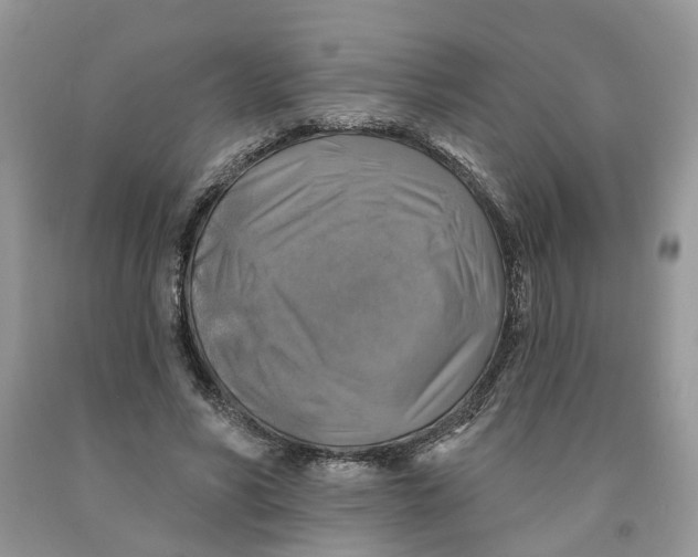 X0000091290590200709071034