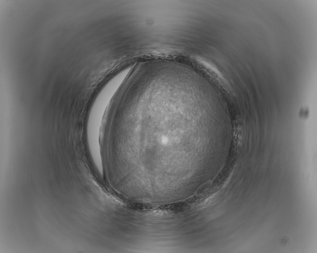 X0000091290593200709071034