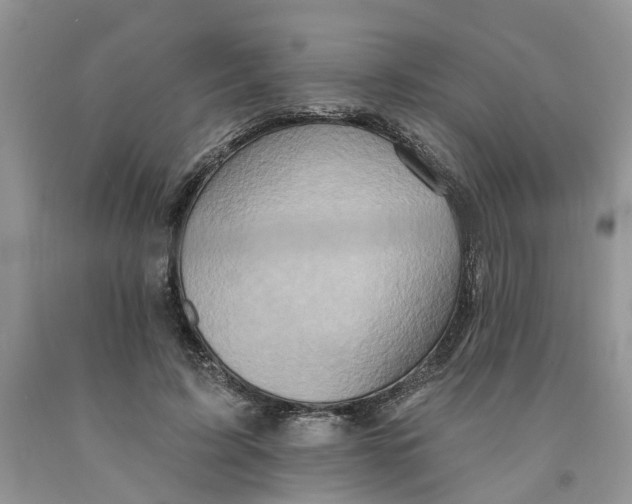 X0000091290595200709071034