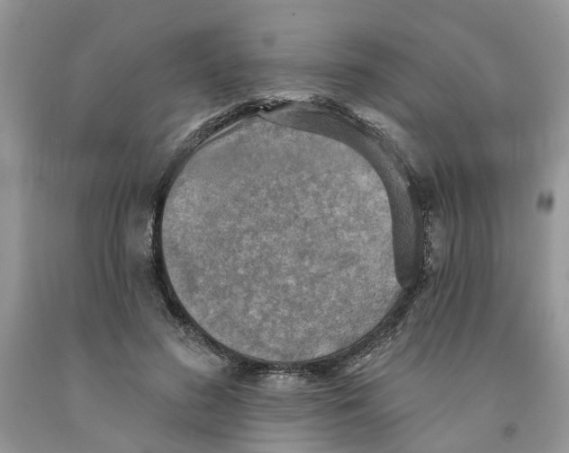 X0000091290596200709071034