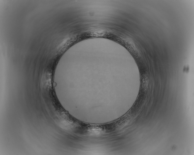 X0000091290598200709071034