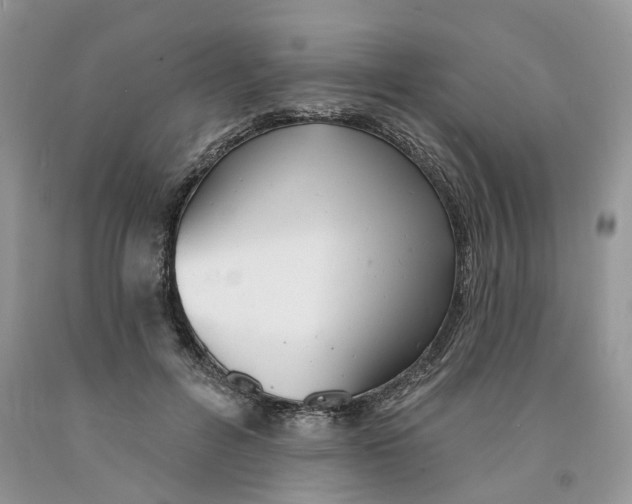 X0000091290600200709071034