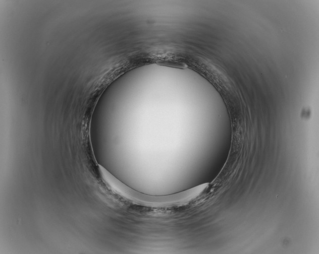 X0000091290601200709071034