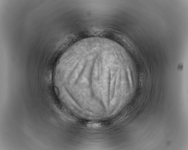 X0000091290602200709071034