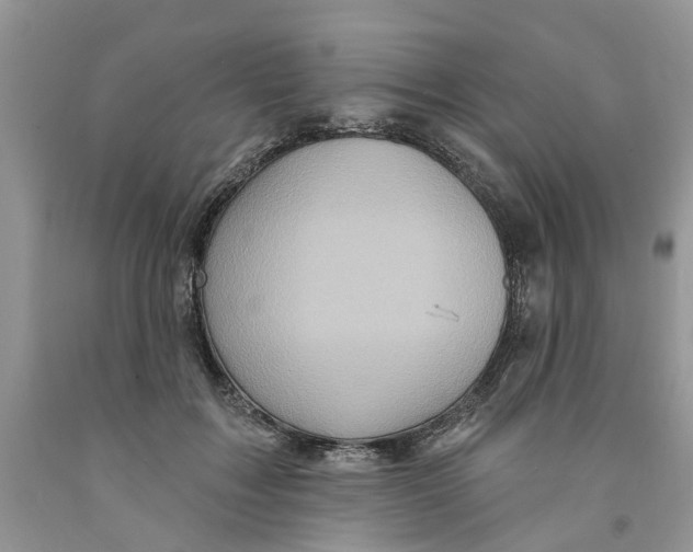 X0000091290603200709071034