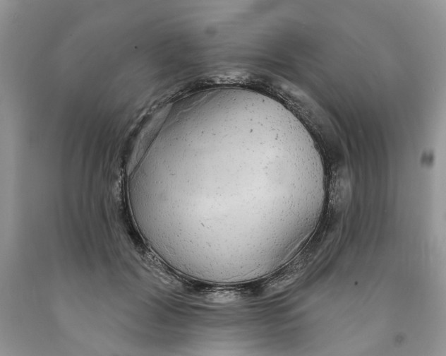 X0000091290604200709071034