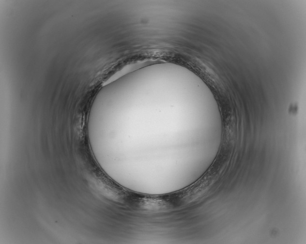 X0000091290605200709071034