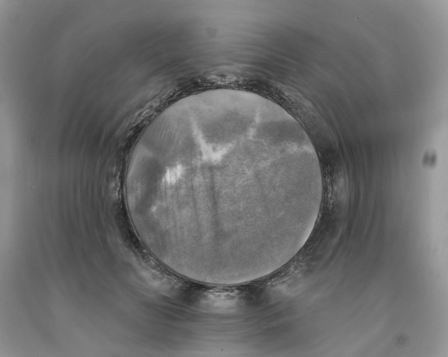 X0000091290606200709071034