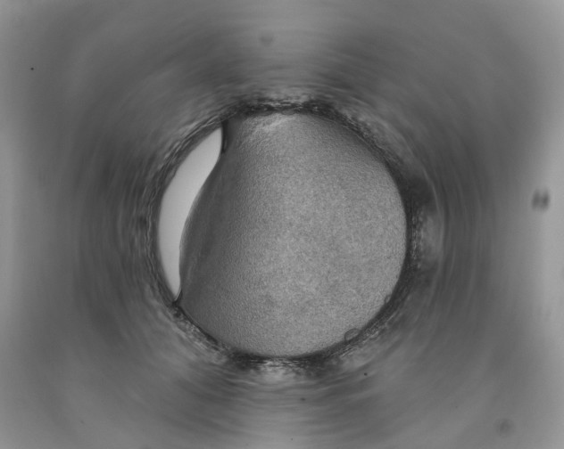 X0000091290608200709071033